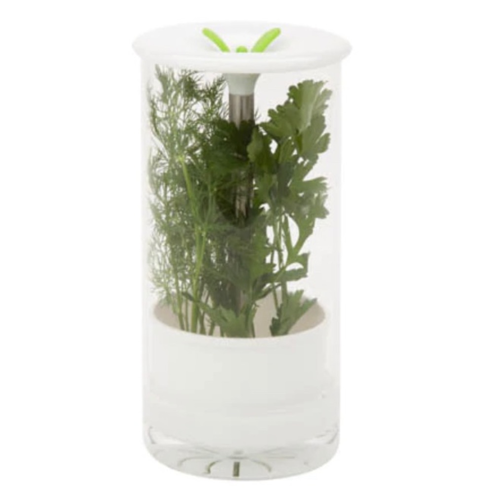 Glass Herb Preserver
